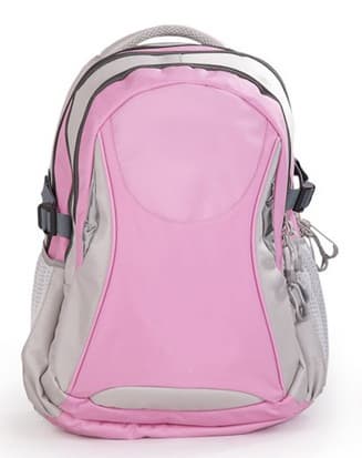 Pink Backpacker Laptop Backpack for Girls _SB8820B_